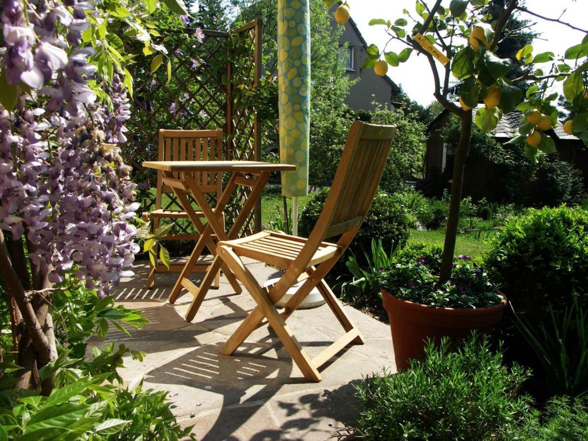 Ferienwohnung Am Dresdner Elbhang Dresde Extérieur photo